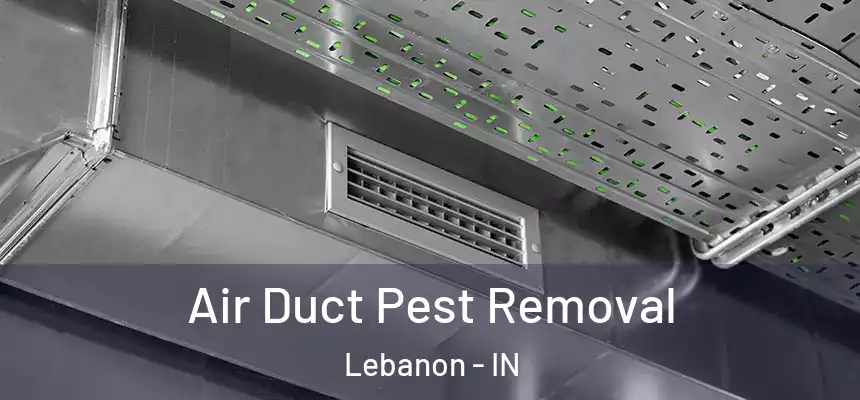  Air Duct Pest Removal Lebanon - IN