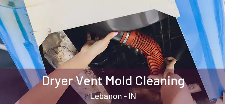  Dryer Vent Mold Cleaning Lebanon - IN