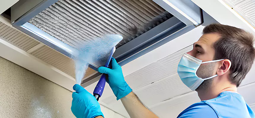 Proactive Dryer Vent & Auxiliary Duct Pollen Cleanup in Lebanon, IN