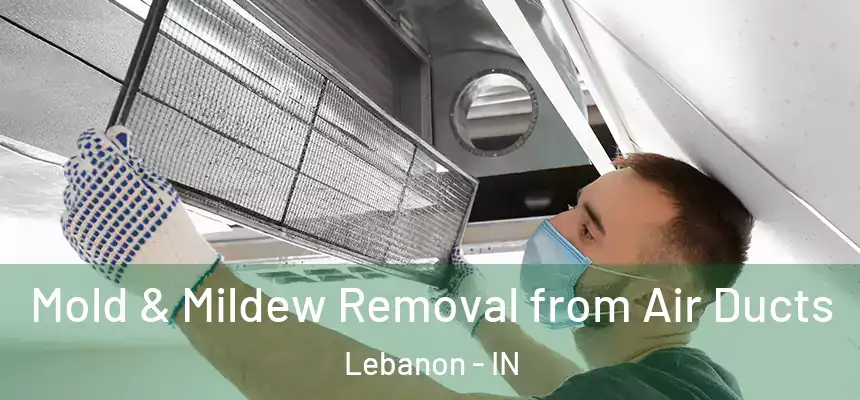 Mold & Mildew Removal from Air Ducts Lebanon - IN