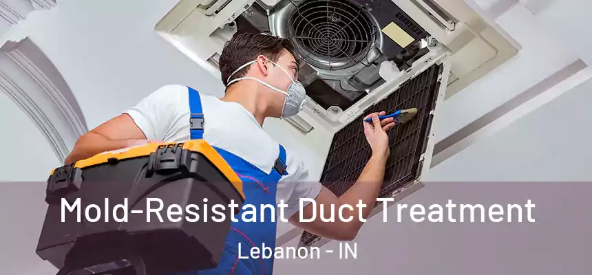 Mold-Resistant Duct Treatment Lebanon - IN