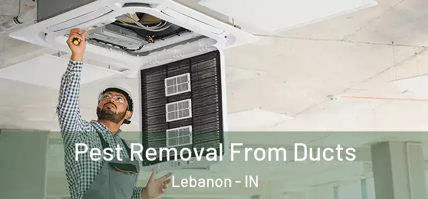  Pest Removal From Ducts Lebanon - IN