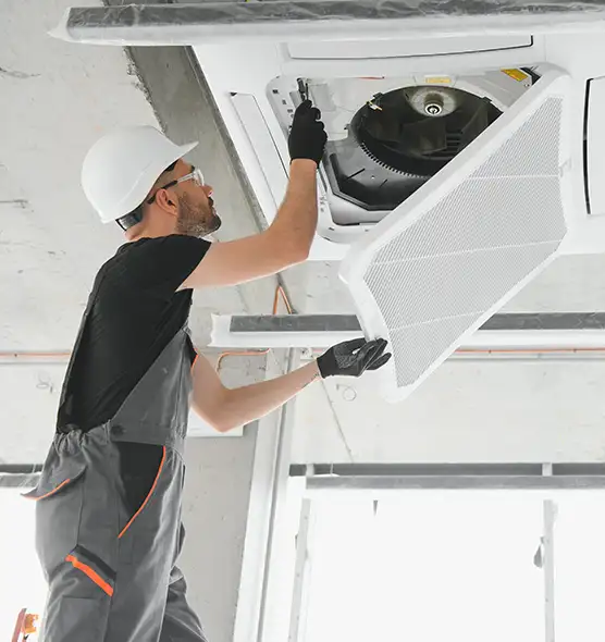 About Air Duct Rodent Removal in Lebanon, IN