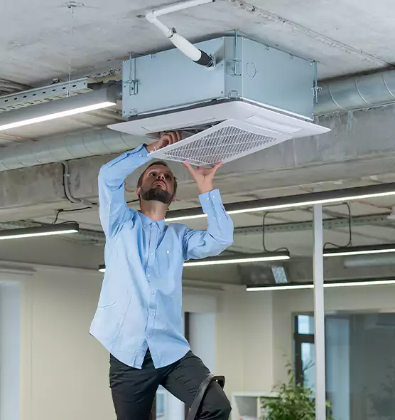 Advanced Rodent Droppings In Vents in Lebanon, IN