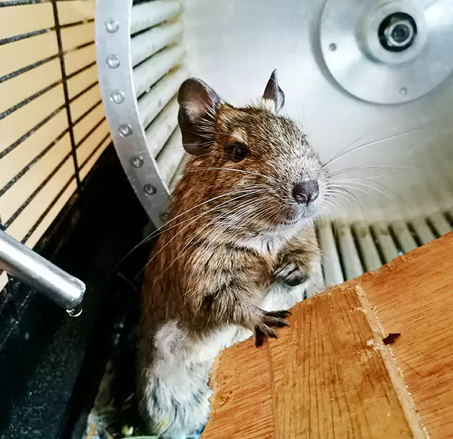 Why Homeowners & Businesses Trust Us Lebanon, IN?